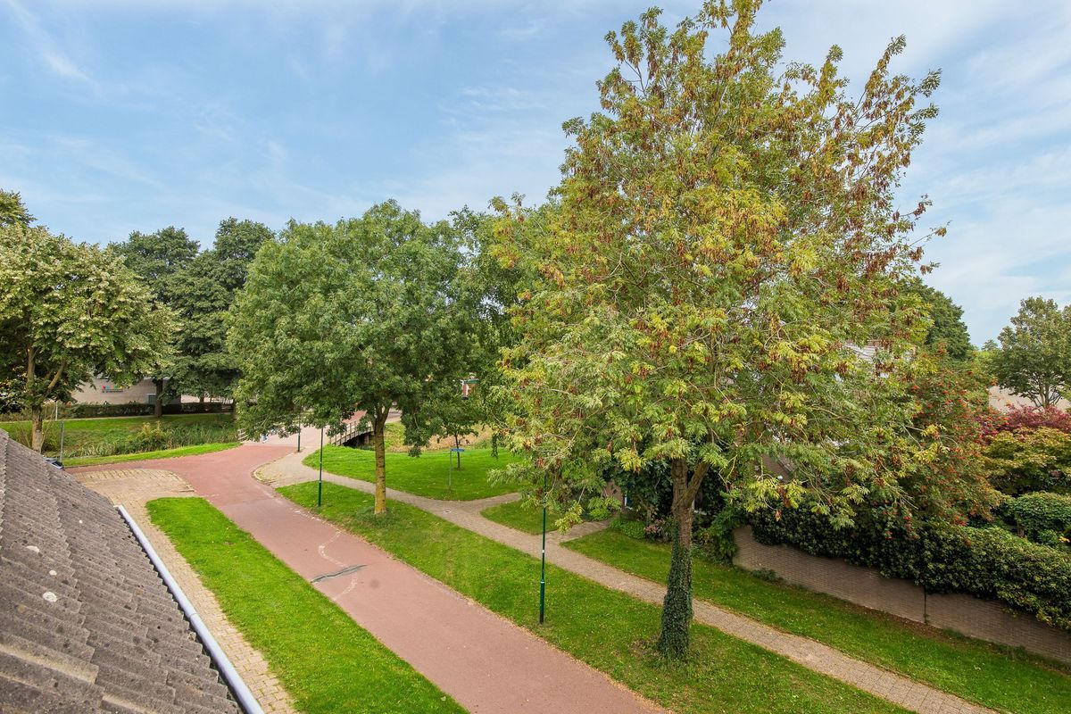 Strocamp 73 Photo Blur 33