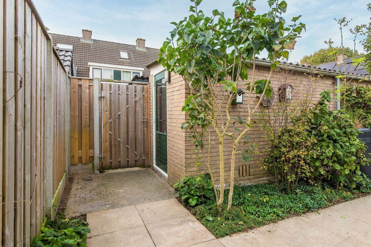 Strocamp 73 Photo Blur 40