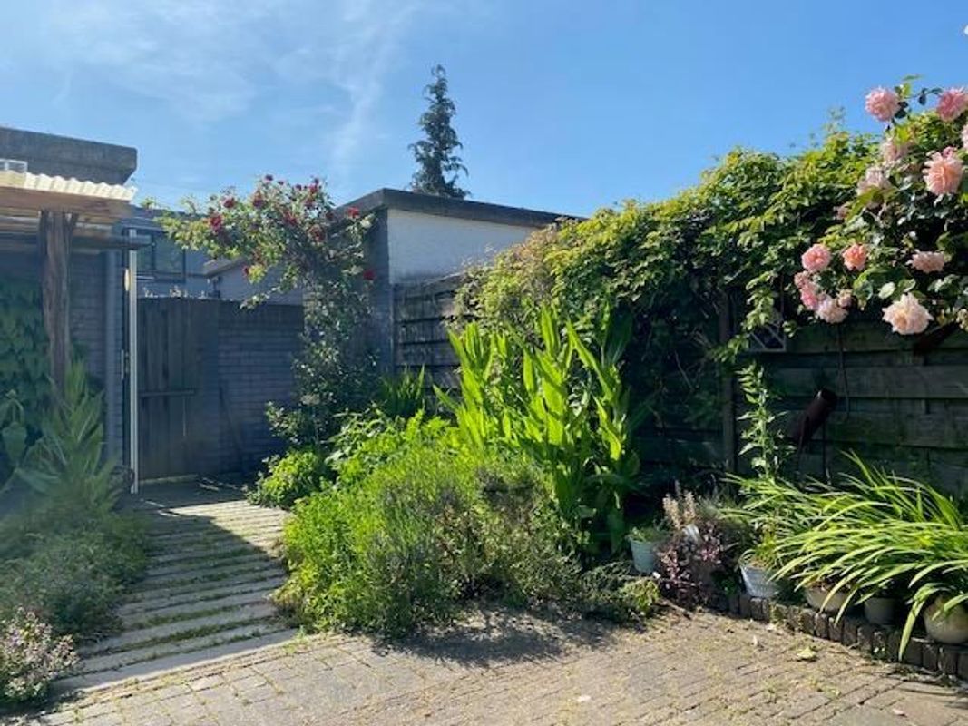 Augusto Sandinostraat 170 Photo Blur 15