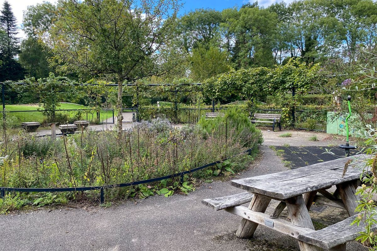 Augusto Sandinostraat 170 Photo Blur 39