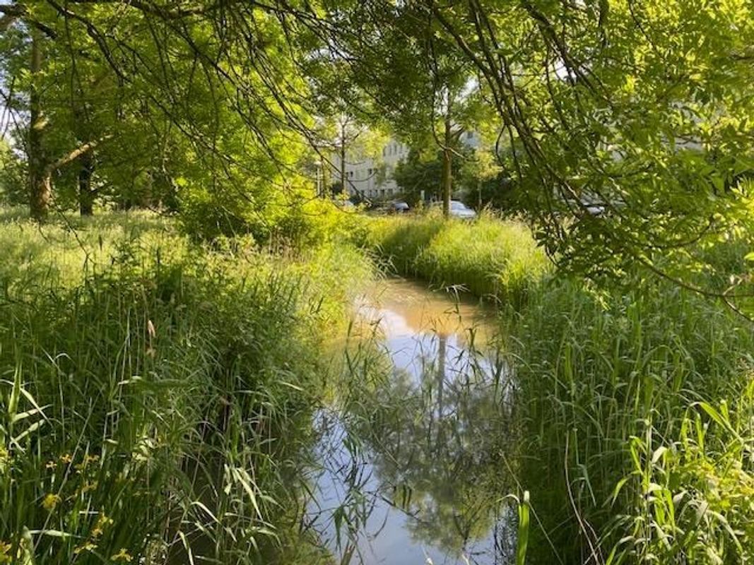 Augusto Sandinostraat 170 Photo Blur 41