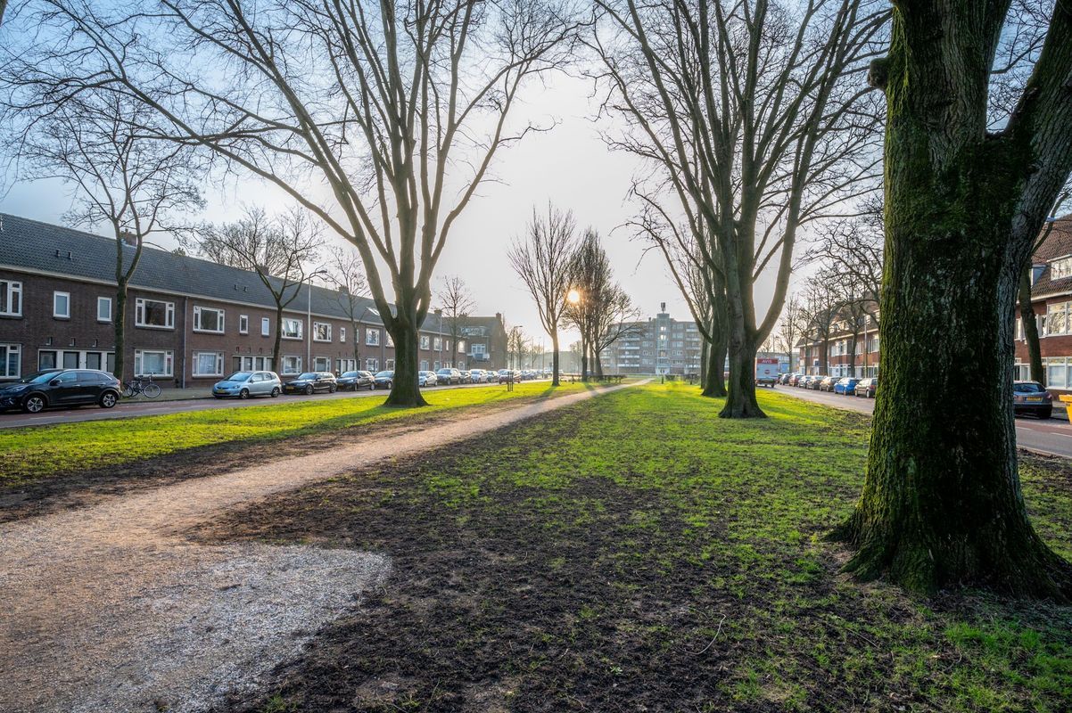 Burgemeester van Tuyllkade 36-bs Photo Blur 36