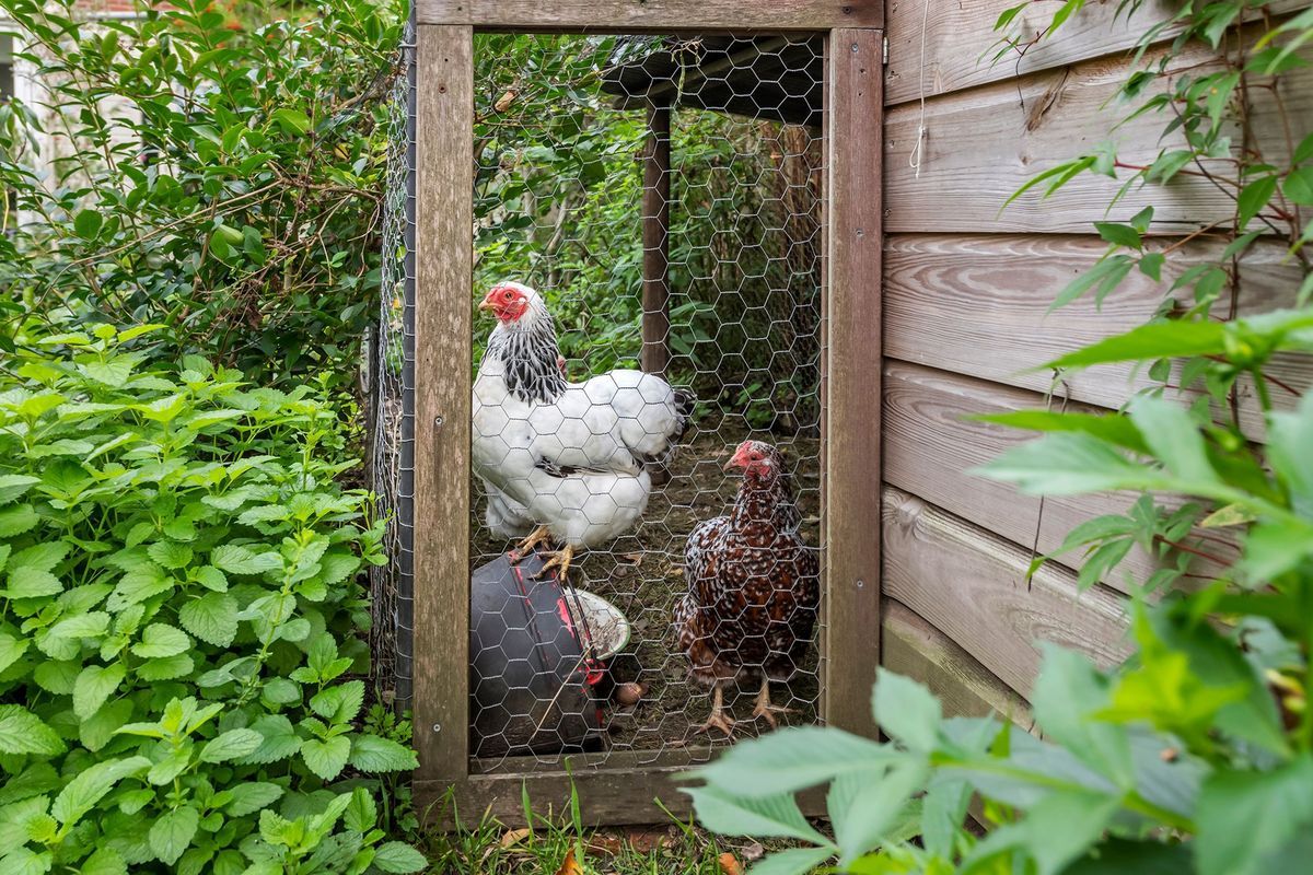 Dr. Schaepmanstraat 47 Photo Blur 22