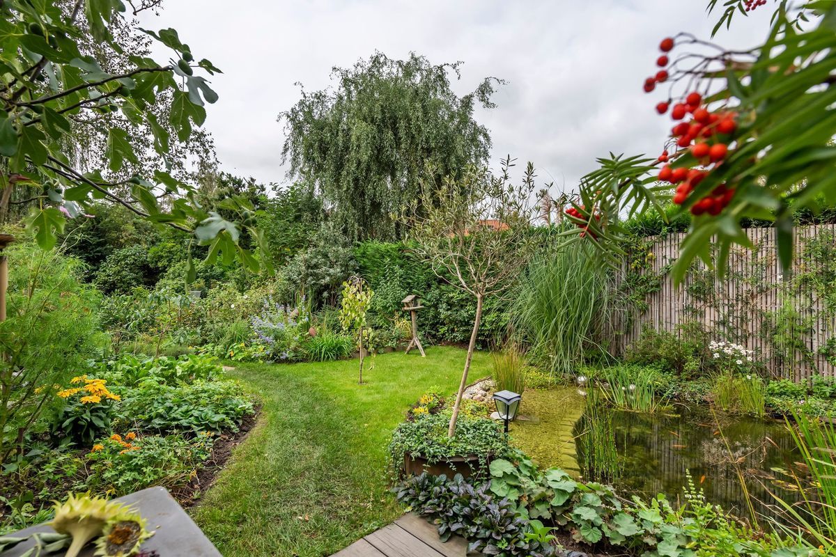 Dr. Schaepmanstraat 47 Photo Blur 20