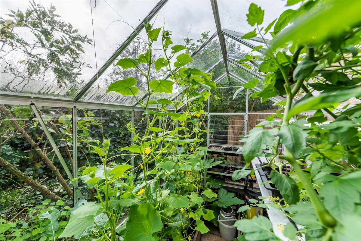 Dr. Schaepmanstraat 47 Photo Blur 28