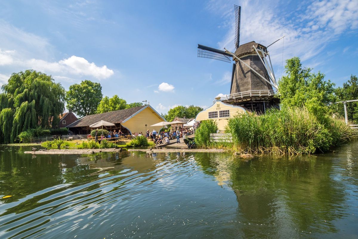 Niasstraat 8-A Photo Blur 46