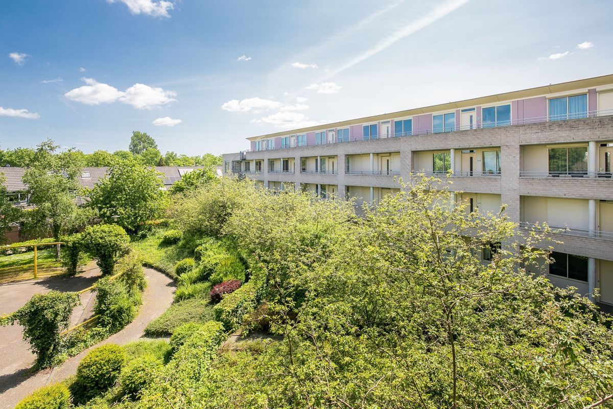 Wageningseberg 374 Photo Blur 11