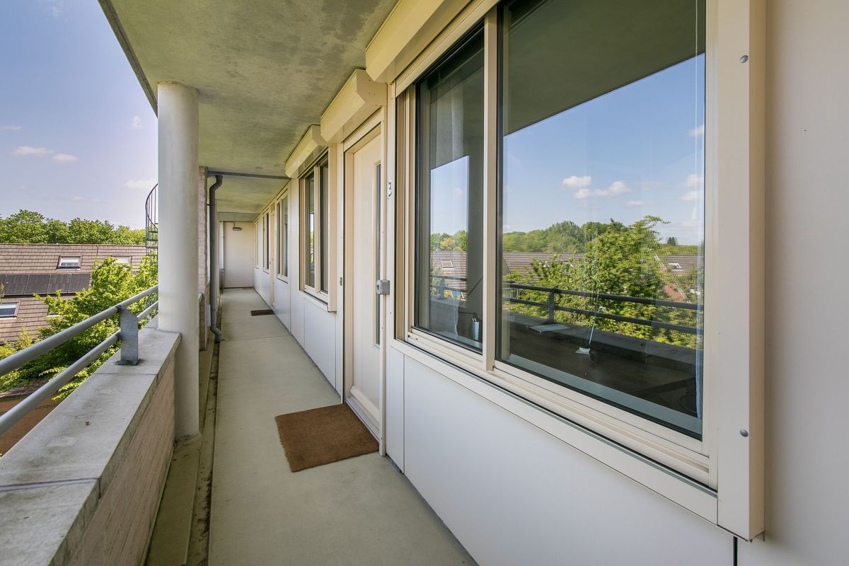 Wageningseberg 374 Photo Blur 12