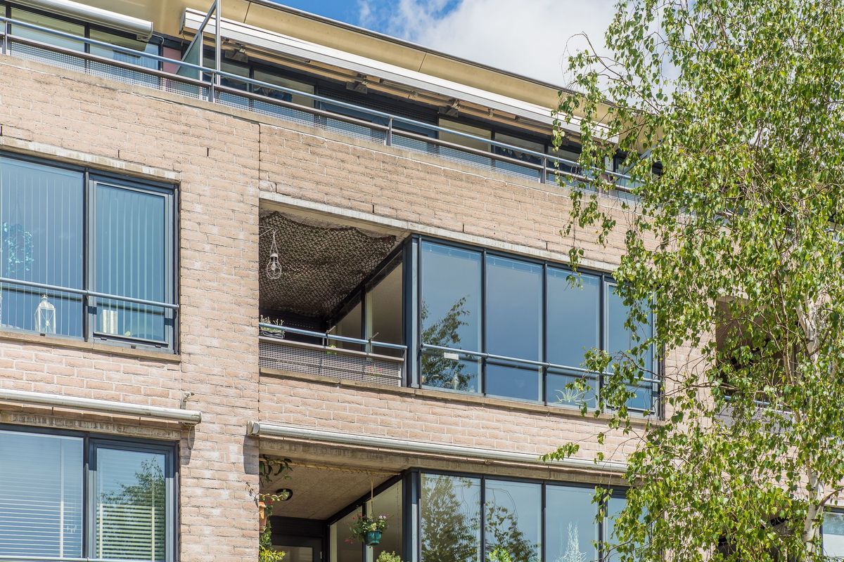 Wageningseberg 374 Photo Blur 40