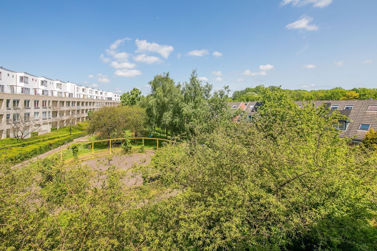 Wageningseberg 374 Photo Blur 42