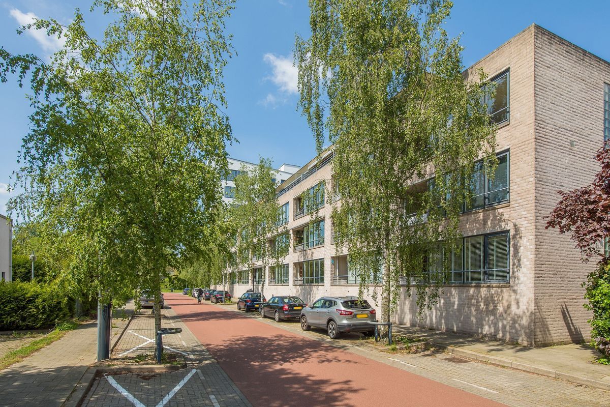 Wageningseberg 374 Photo Blur 41