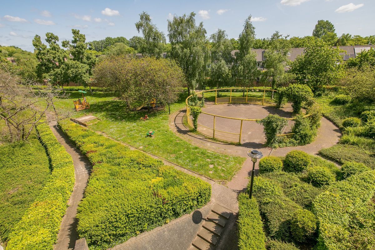 Wageningseberg 374 Photo Blur 43