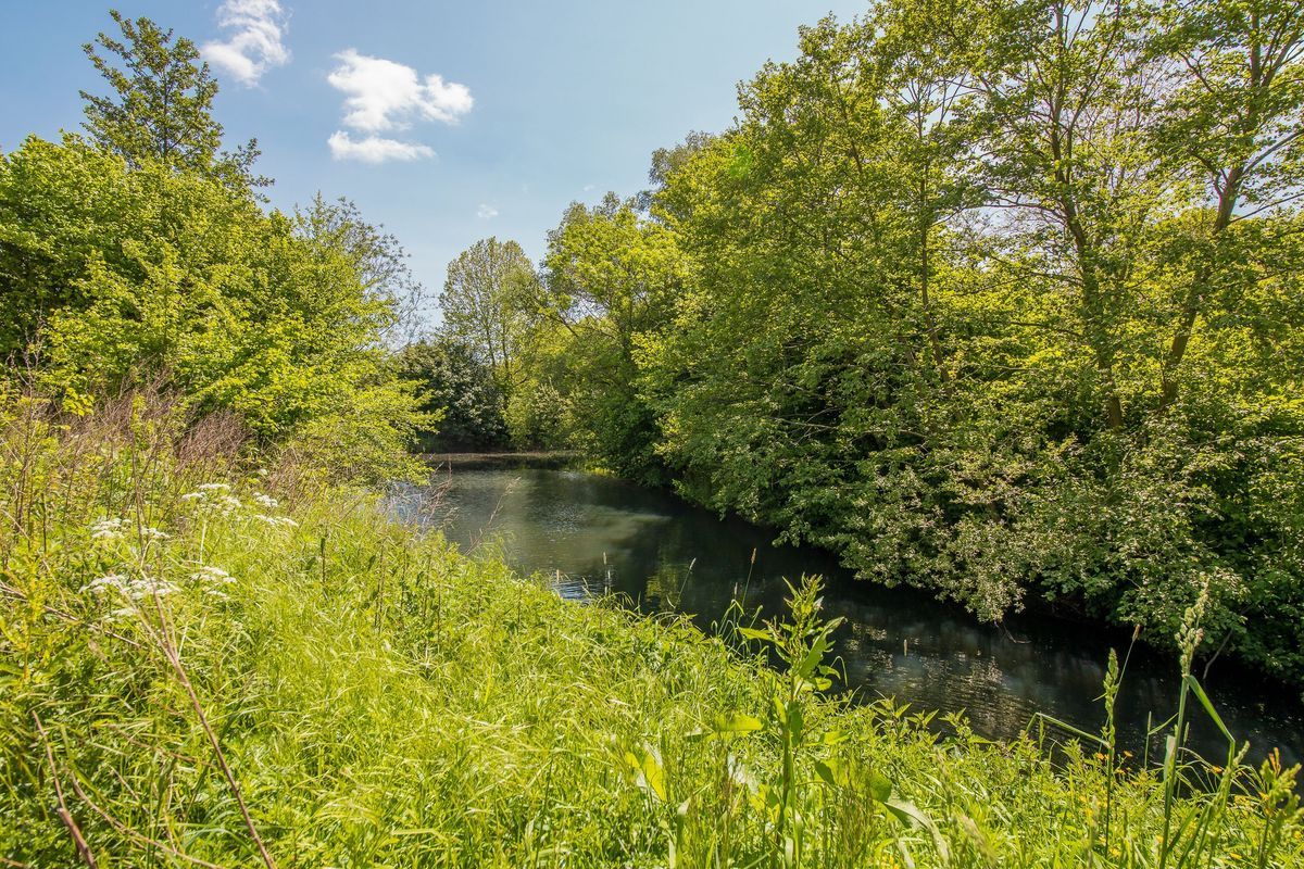 Wageningseberg 374 Photo Blur 46