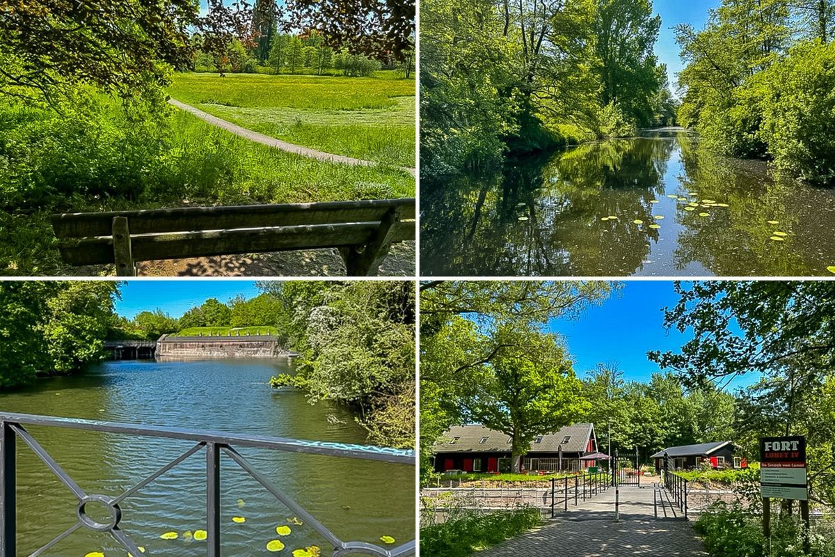 Wageningseberg 374 Photo Blur 49