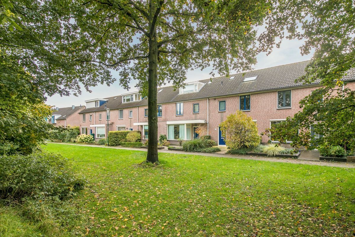 Friezenpoort 100 Photo Blur 49