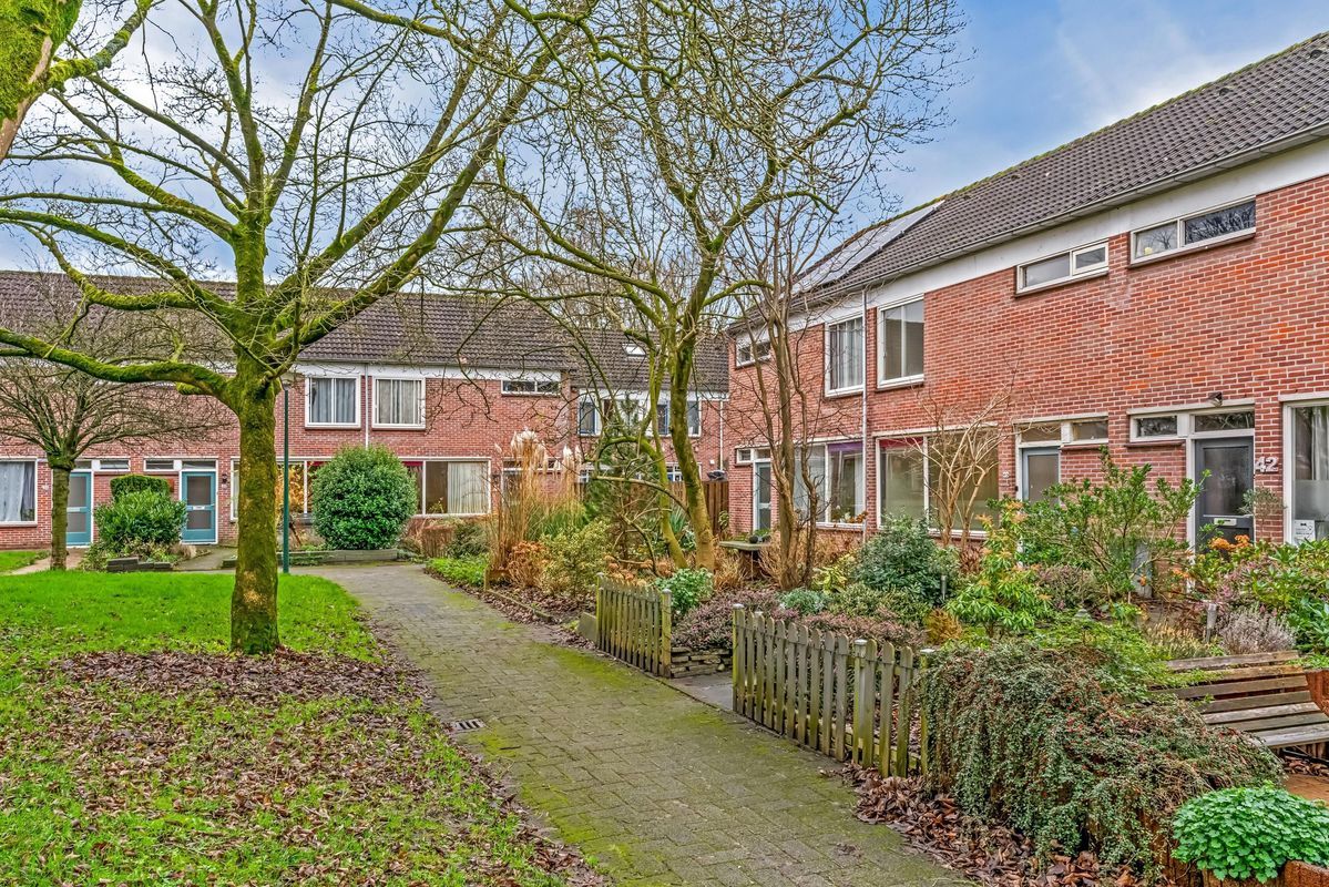 Glazenierslaan 40 Photo Blur 25