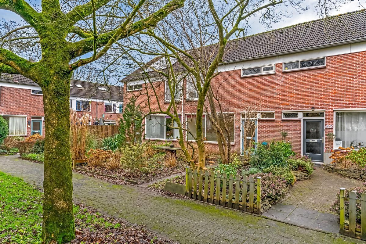 Glazenierslaan 40 Photo Blur 26