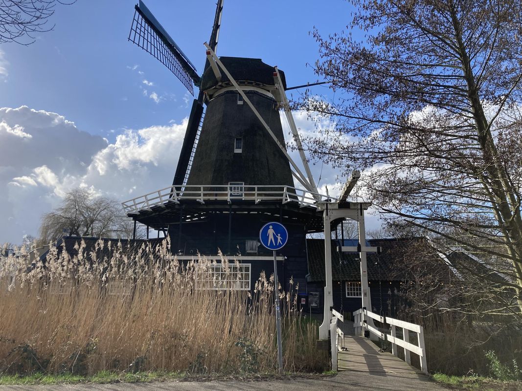 Jan Pieterszoon Coenstraat 80 Photo Blur 35