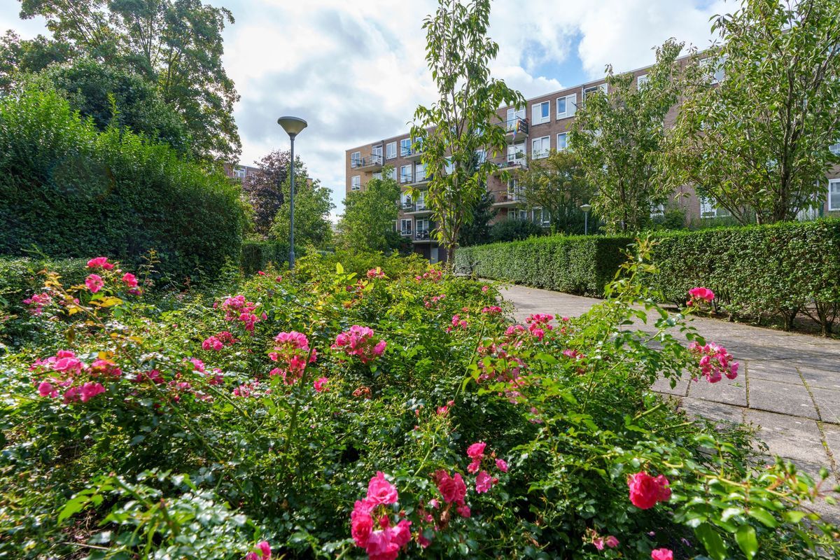 Struyckenlaan 17 Photo Blur 31