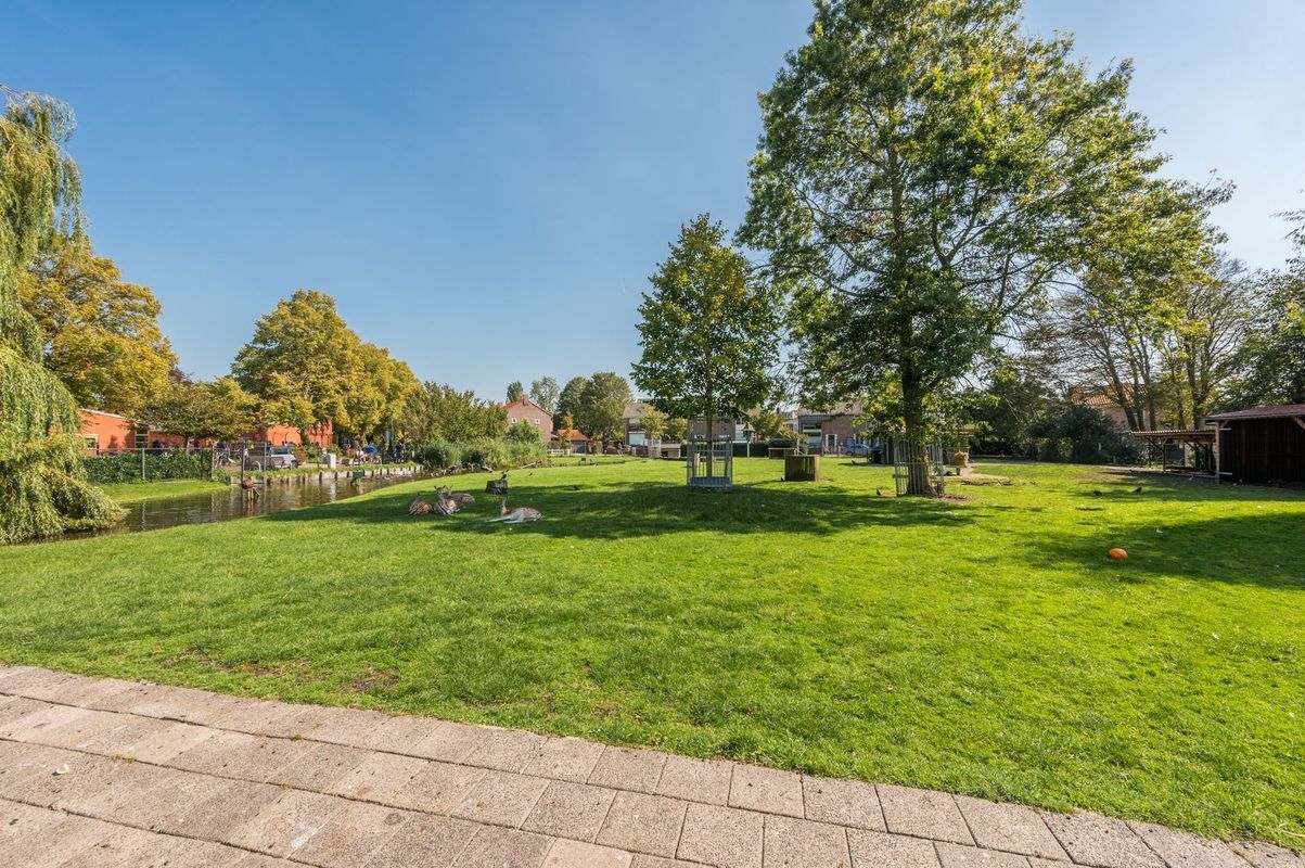 Houtwerf 10 Photo Blur 57