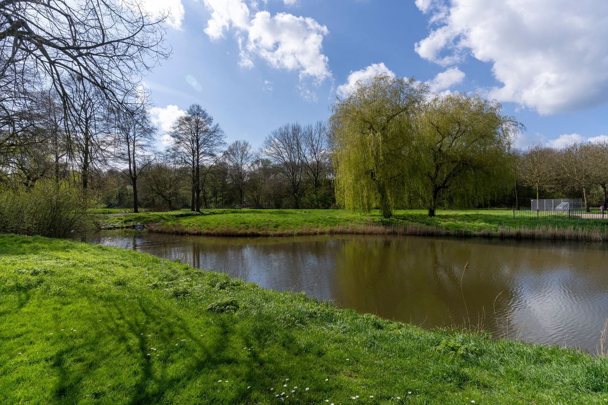 Landmansweide 32 Photo Blur 42