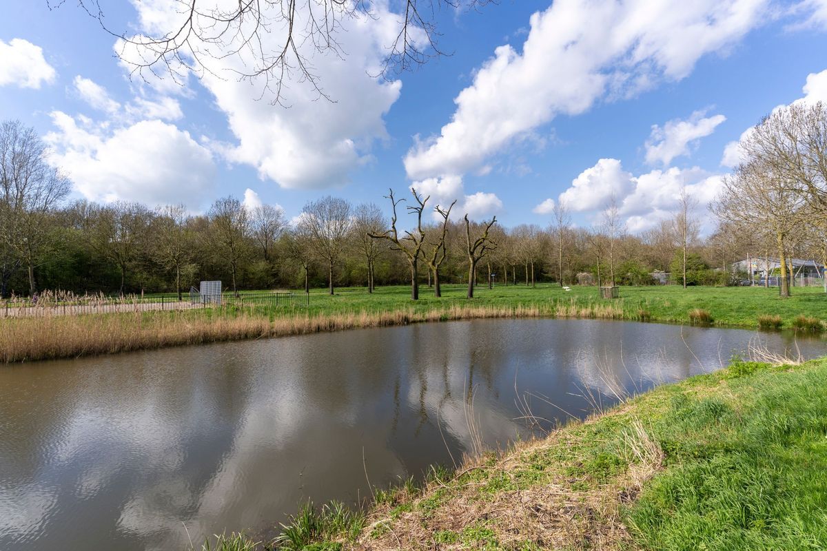 Landmansweide 32 Photo Blur 43