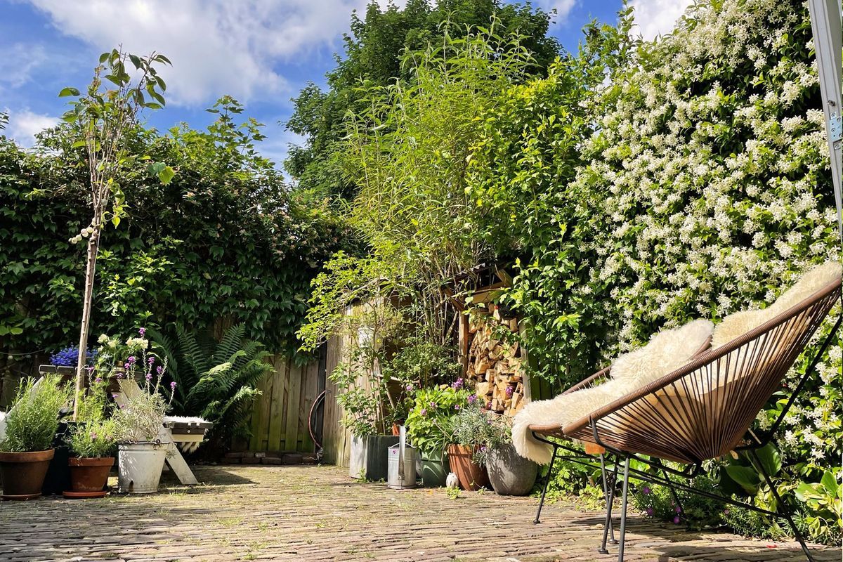 Bouwstraat 63 Photo Blur 13