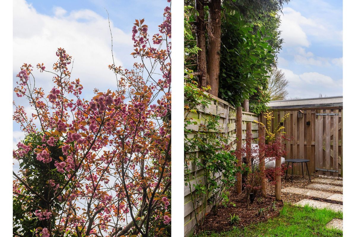 Borchsatelaan 150-a Photo Blur 18