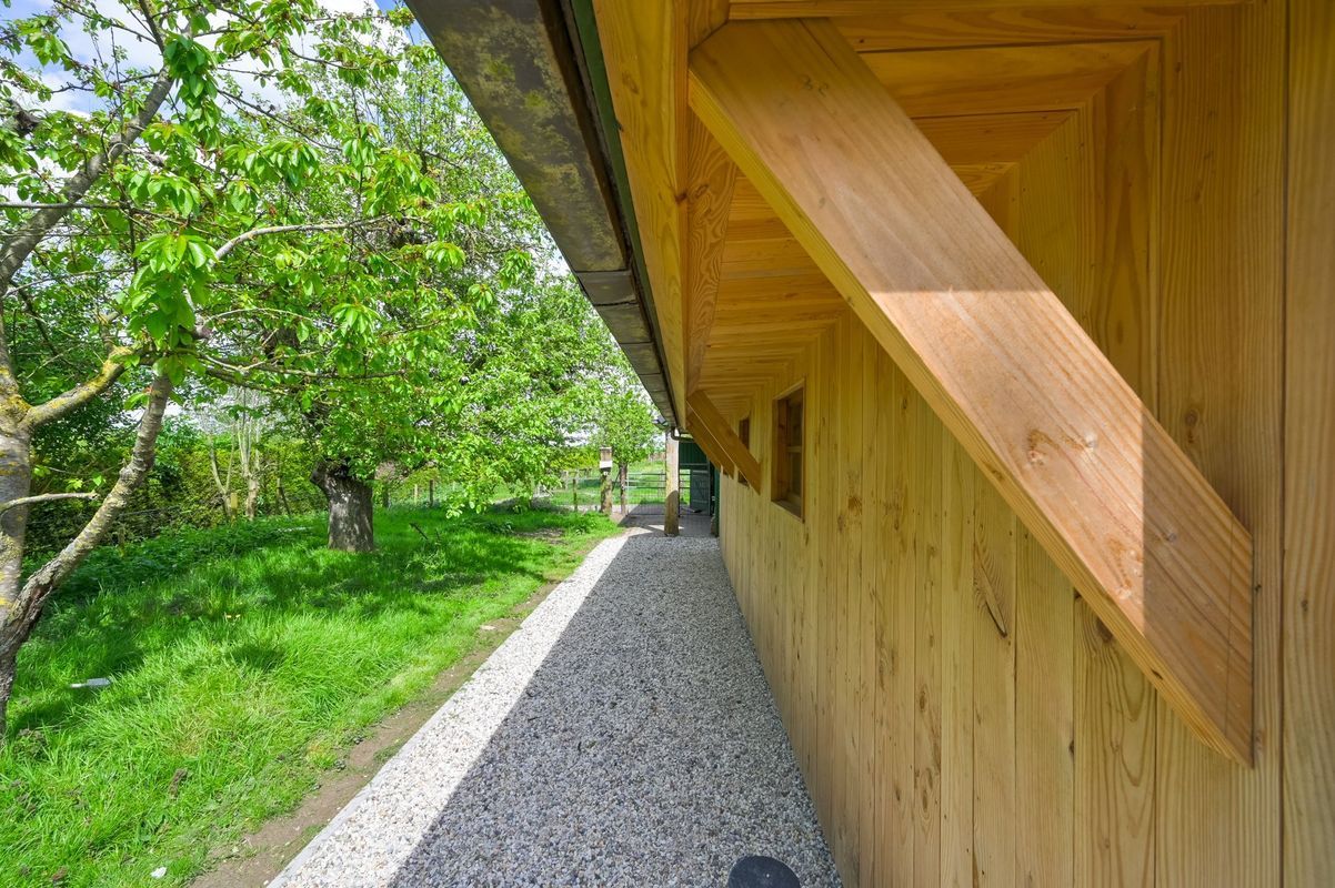 Uiterdijk 3 Photo Blur 63