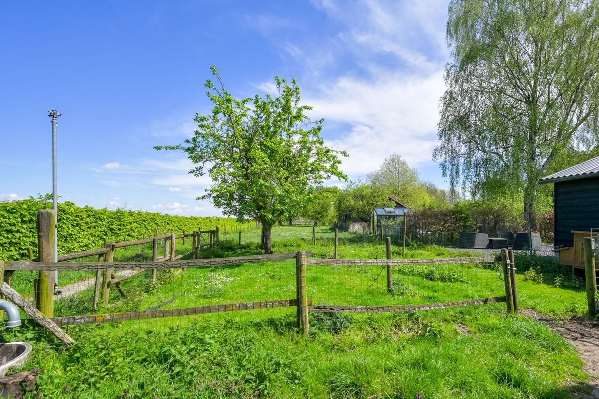 Uiterdijk 3 Photo Blur 65