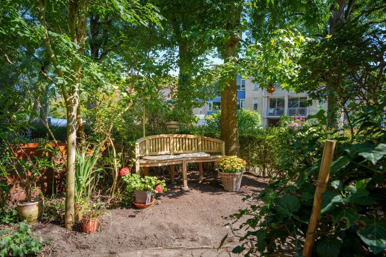 Jungfrau 107 Photo 1