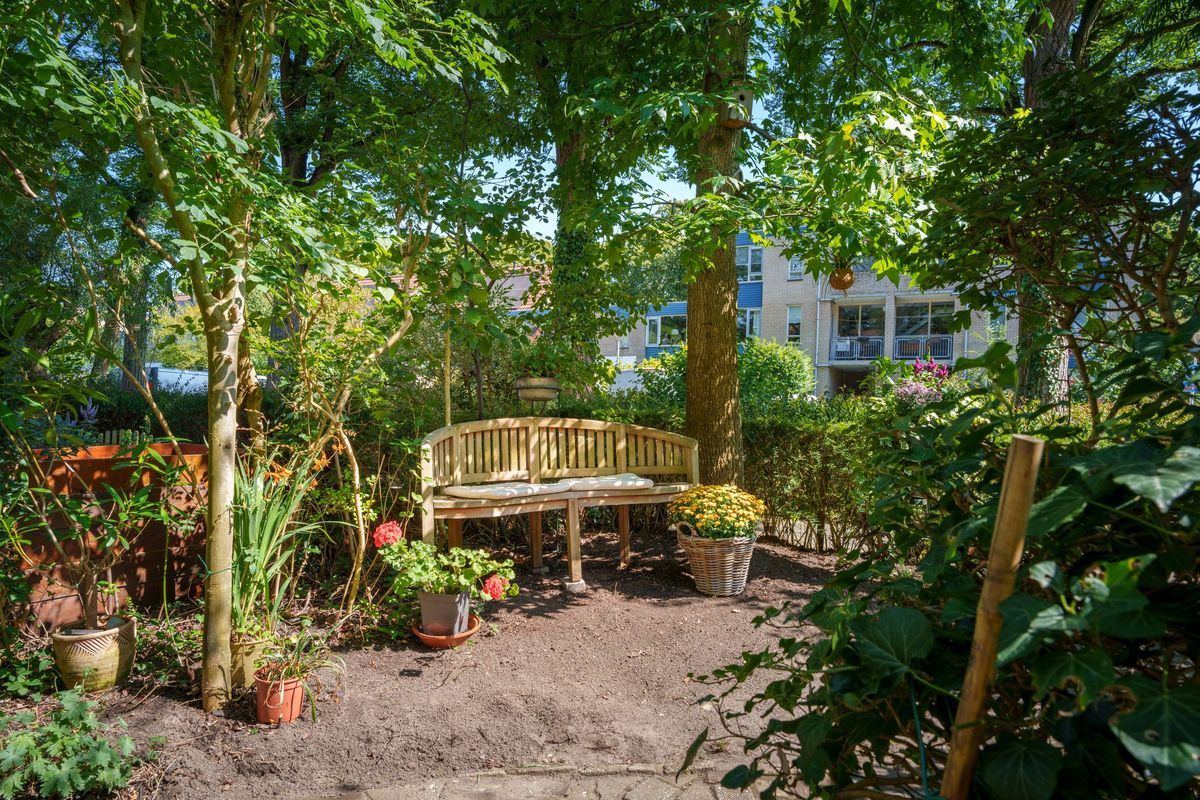 Jungfrau 107 Photo Blur 1