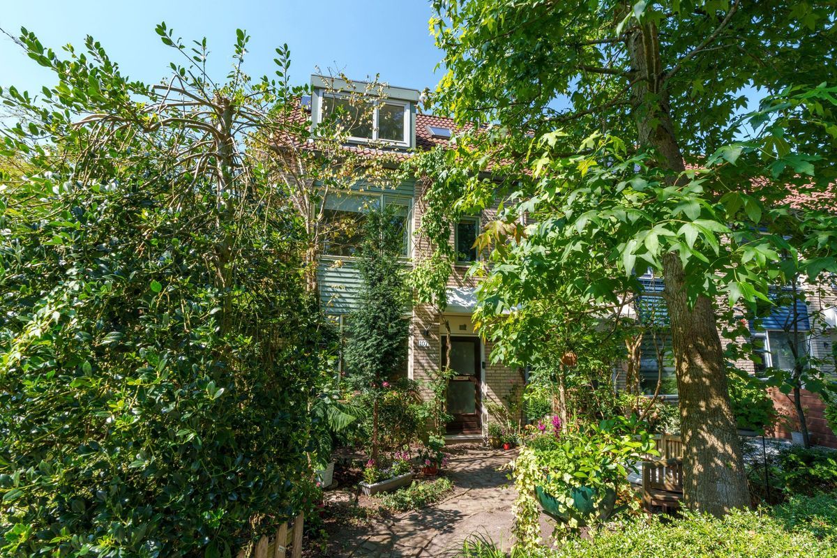 Jungfrau 107 Photo Blur 3