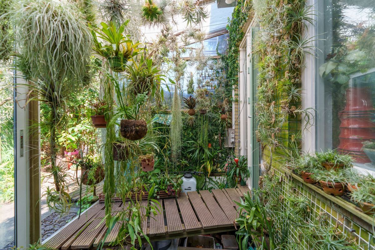 Jungfrau 107 Photo Blur 12