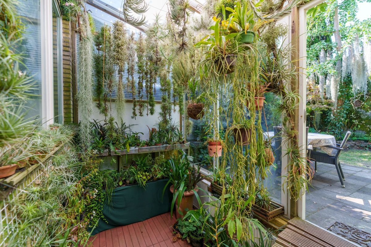 Jungfrau 107 Photo Blur 11