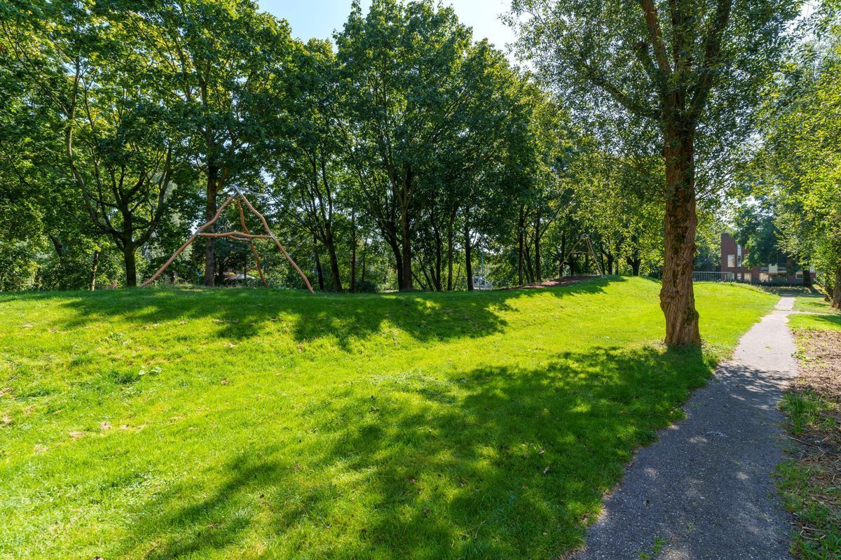 Jungfrau 107 Photo Blur 37