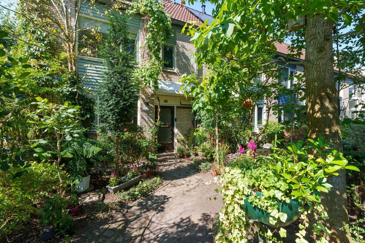 Jungfrau 107 Photo Blur 36