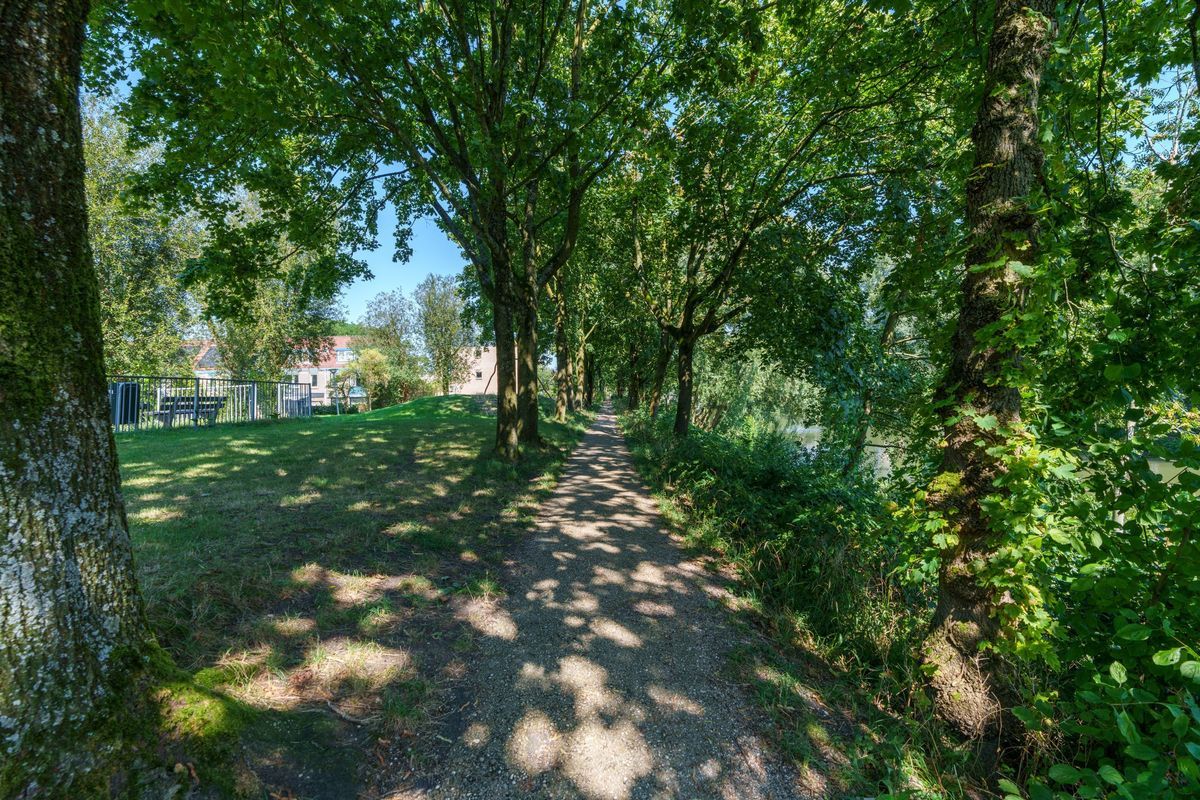 Jungfrau 107 Photo Blur 40