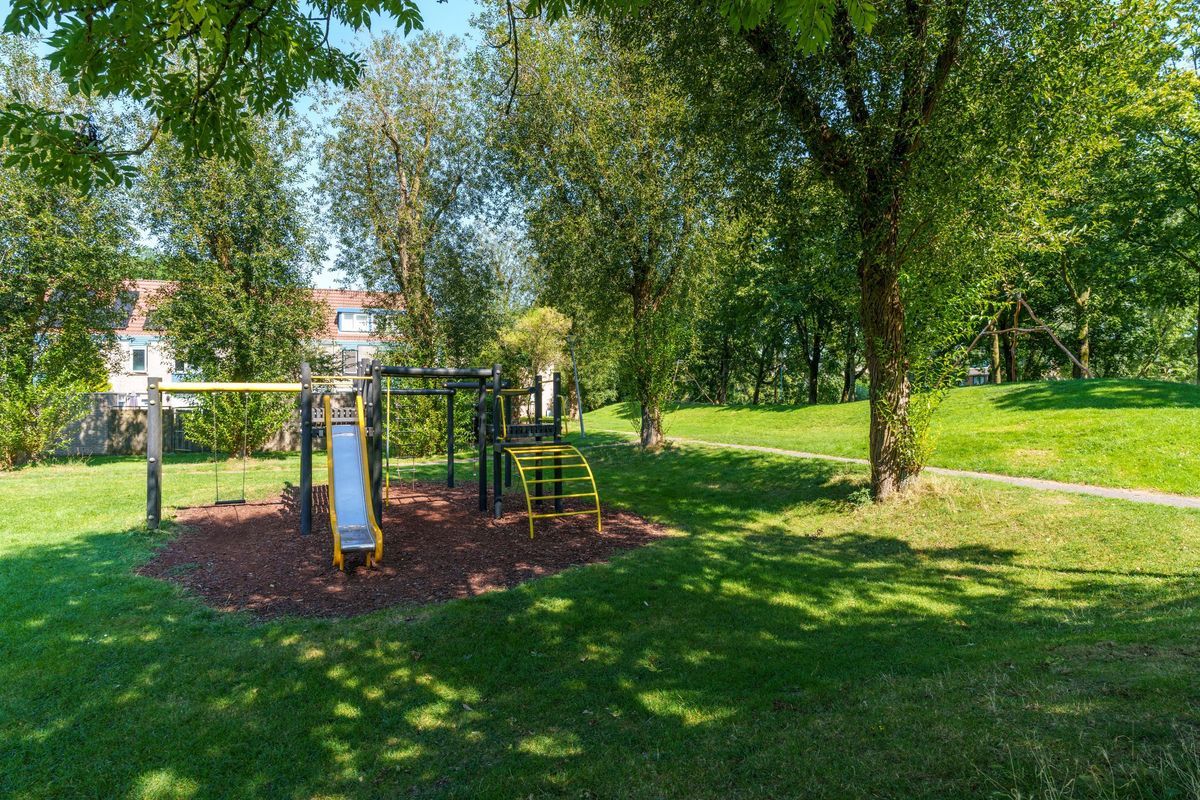 Jungfrau 107 Photo Blur 41