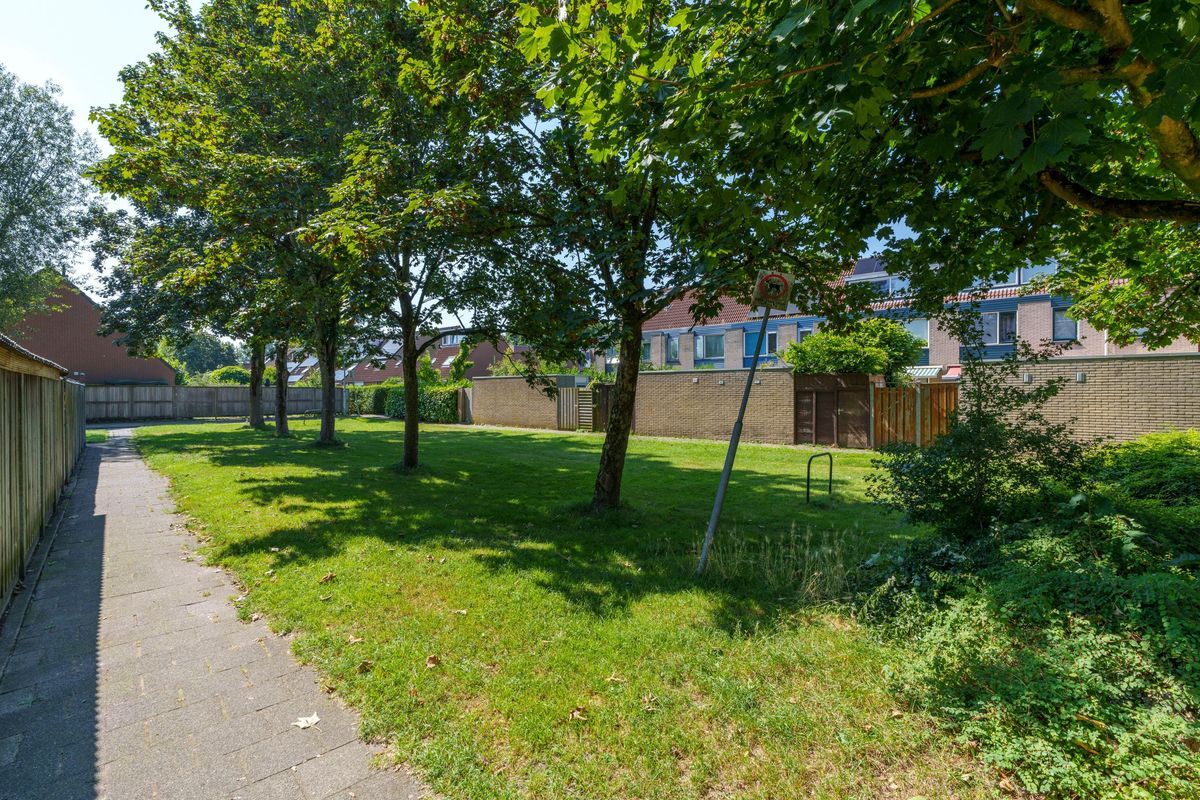 Jungfrau 107 Photo Blur 42