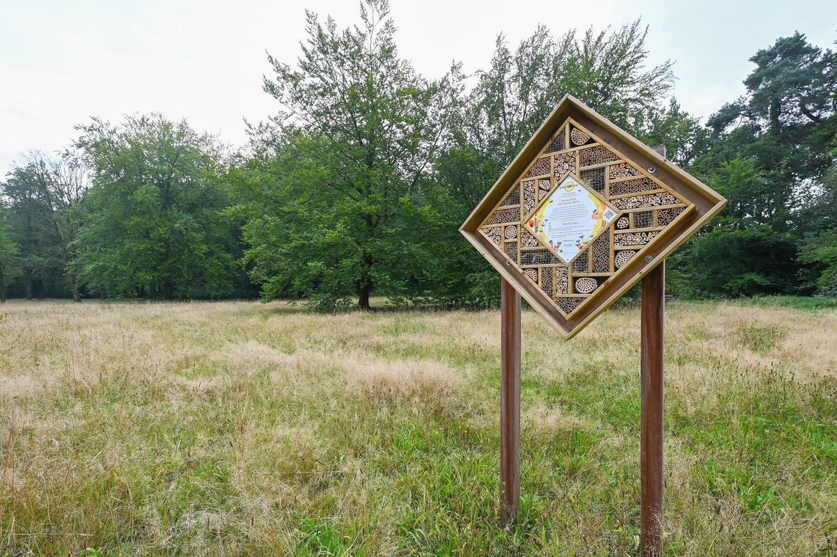 Postweg 14 Photo Blur 45