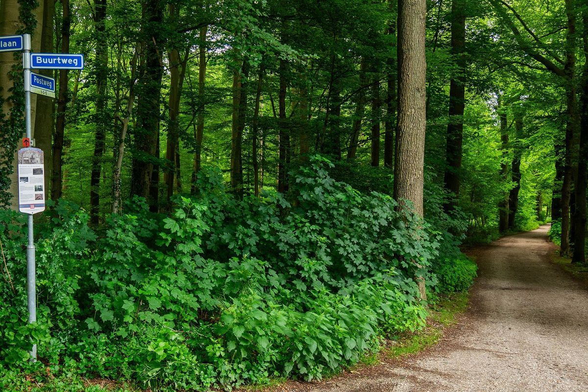 Postweg 14 Photo Blur 43