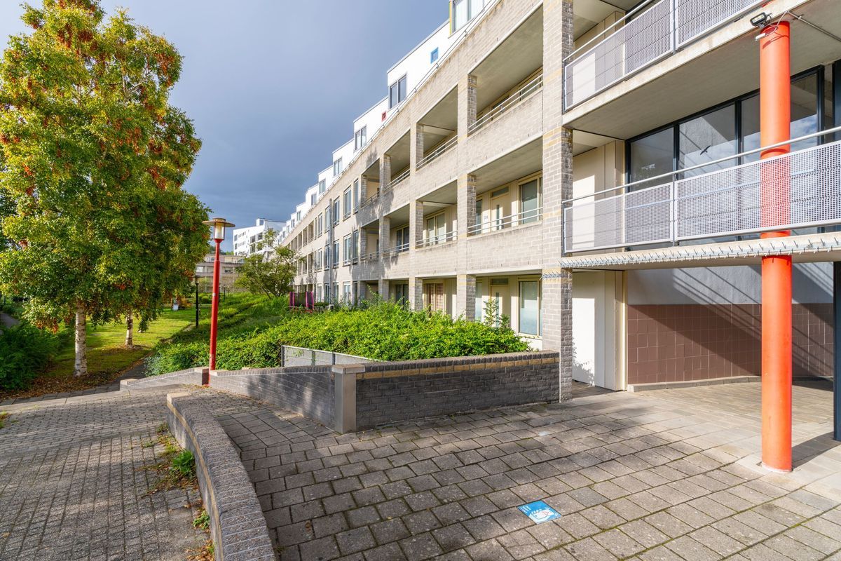 Wageningseberg 210 Photo Blur 7