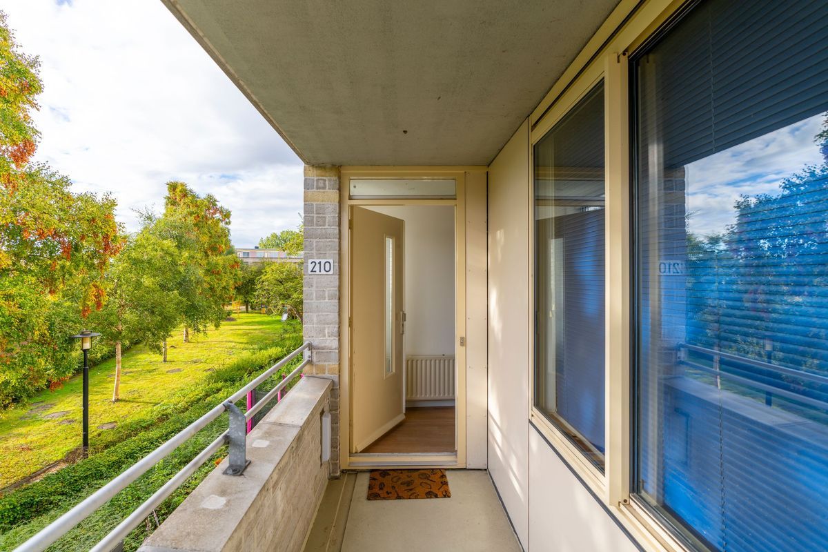 Wageningseberg 210 Photo Blur 11