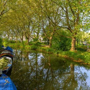 Bekkerstraat 164 Photo 4