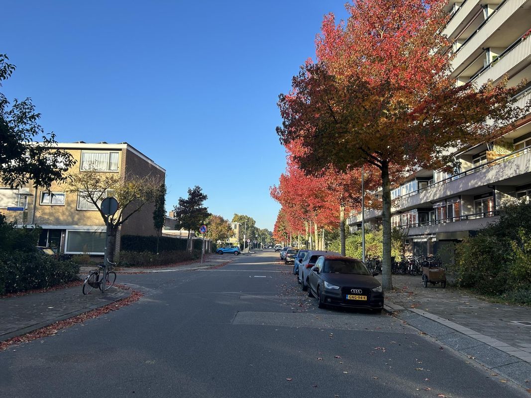 Fruinplantsoen 90 Photo Blur 25