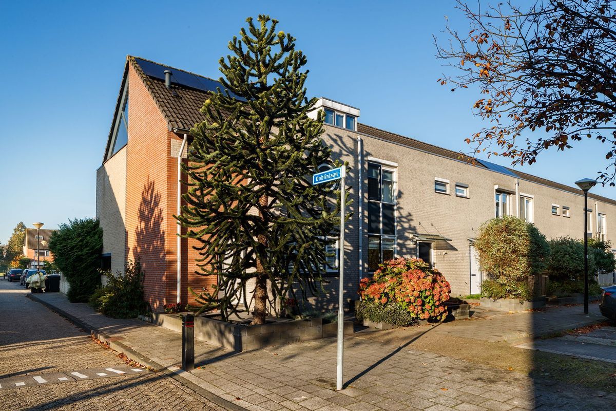 Helsinkilaan 19 Photo Blur 22