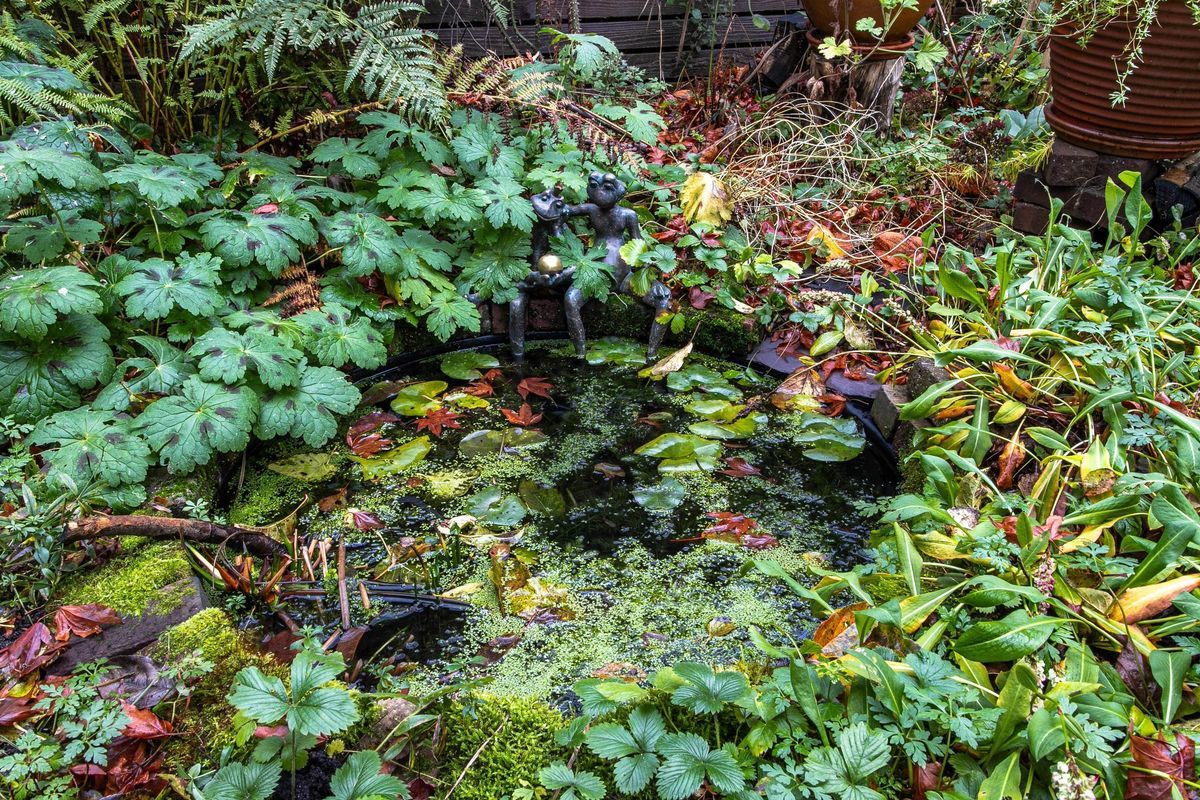 Noordeindestraat 5 Photo Blur 25