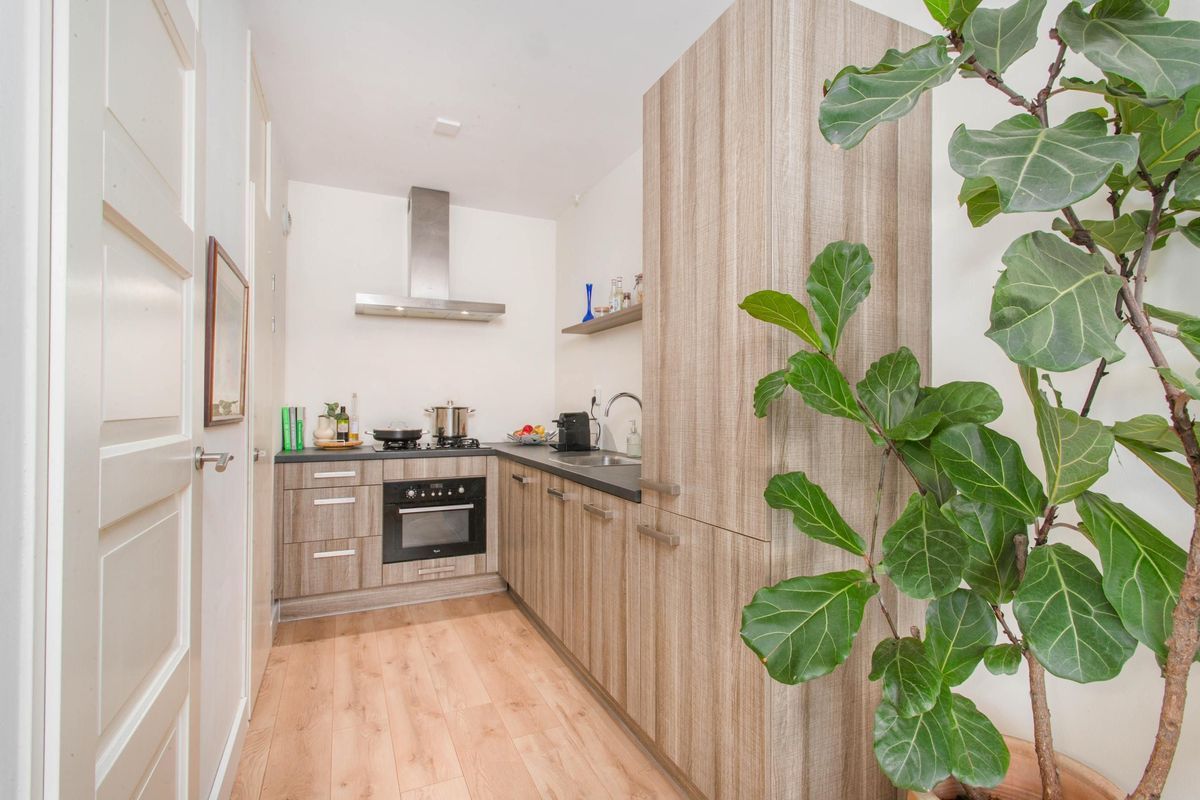 Jungfrau 83 Photo Blur 7