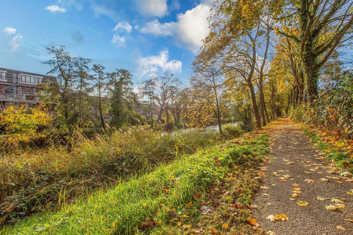 Jungfrau 83 Photo Blur 23